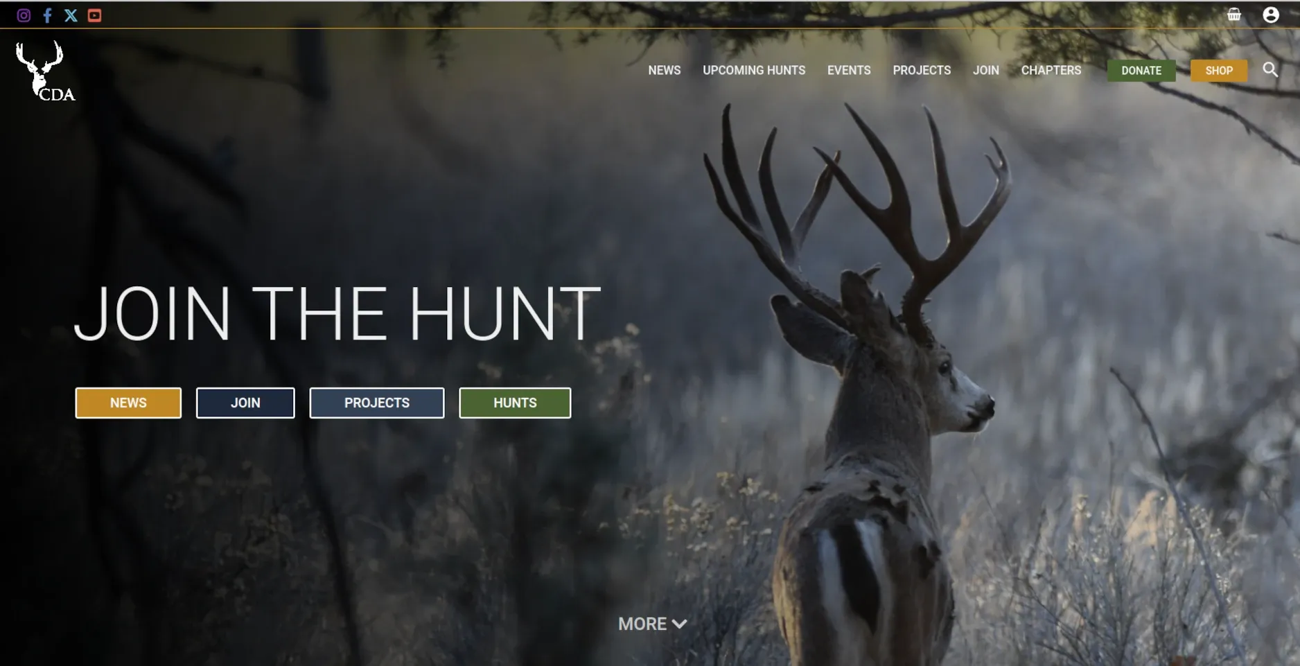 caldeer.org website by Twining Original Design