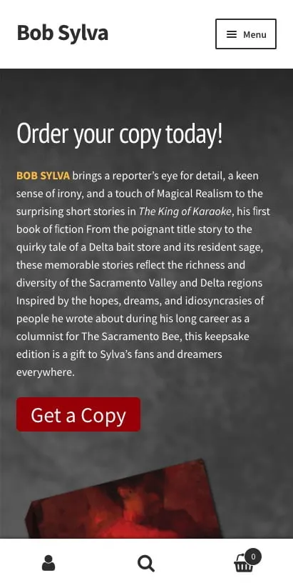Redding Web Designer for Fast, Secure Sites